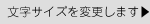 文字サイズの設定